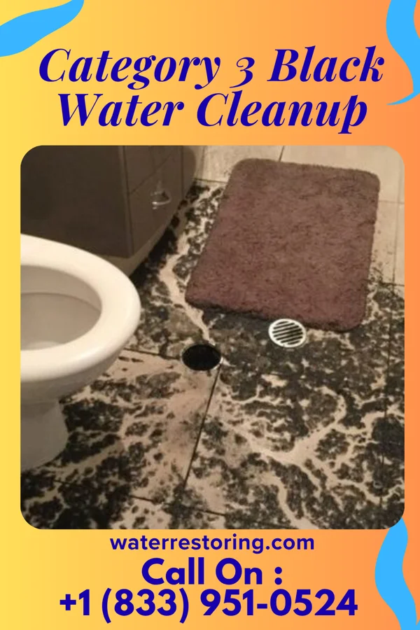 Category 3 Black Water Cleanup in South Run, VA