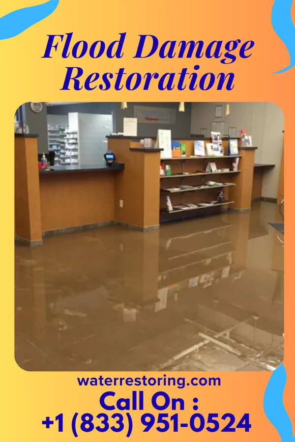 Flood Damage Restoration in South Run, VA