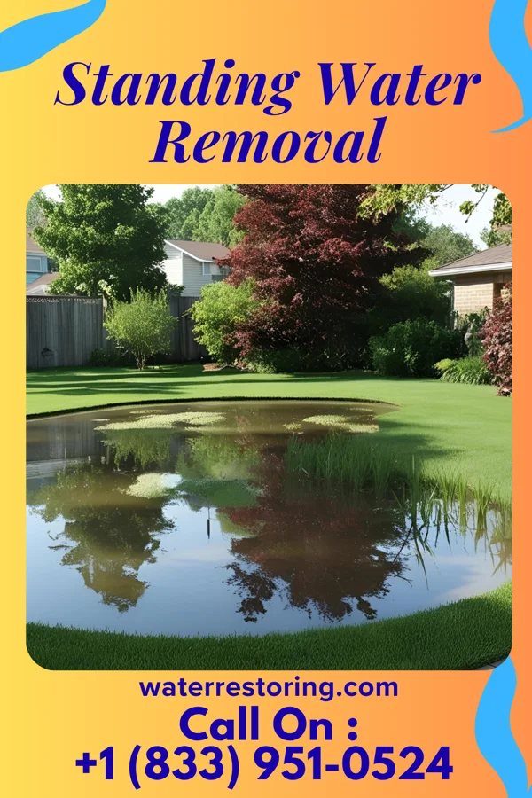 Standing Water Removal in South Run, VA